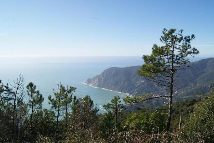 Trekking And Relax - Maremonti - Homy 5 Terre Vernazza Exterior photo